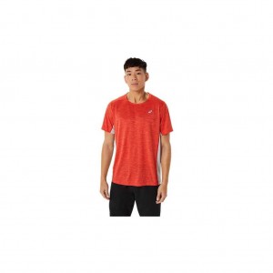 Fiery Red/Piedmont Grey Asics 2031C755.621 M Train Sana Short Sleeve T-Shirts & Tops | HOIWD-3258